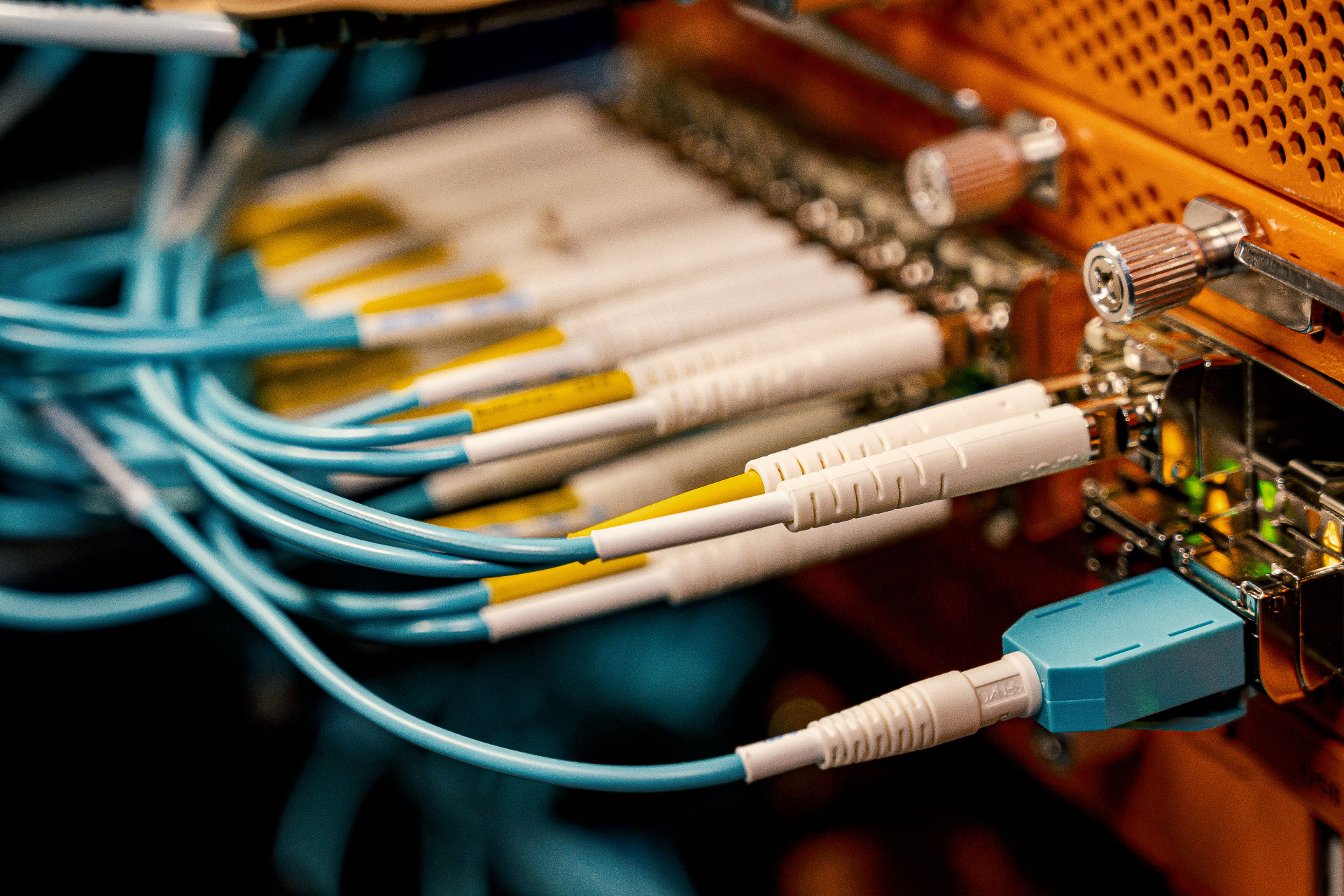 Close-up of network cables connected to a server rack